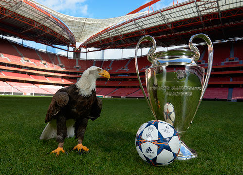 杜兰特三节28+8刷爆纪录：里程碑之夜击溃太阳 激情握拳怒吼庆祝